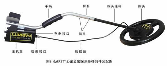 1585556410174411.jpg 10.jpg