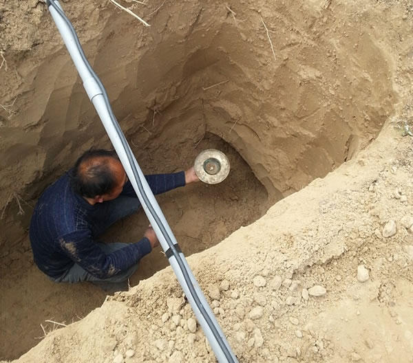 1585583113312303.jpg 187-1F42Q60649449.jpg